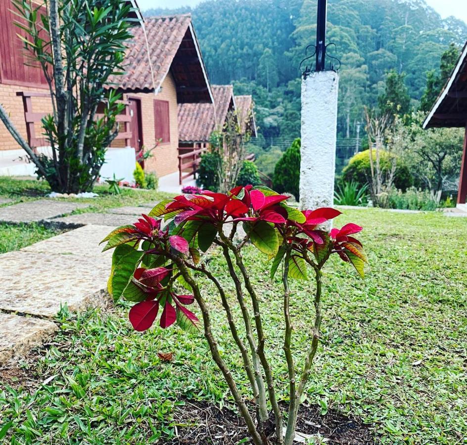 Chales Encantus Villa Monte Verde  Esterno foto