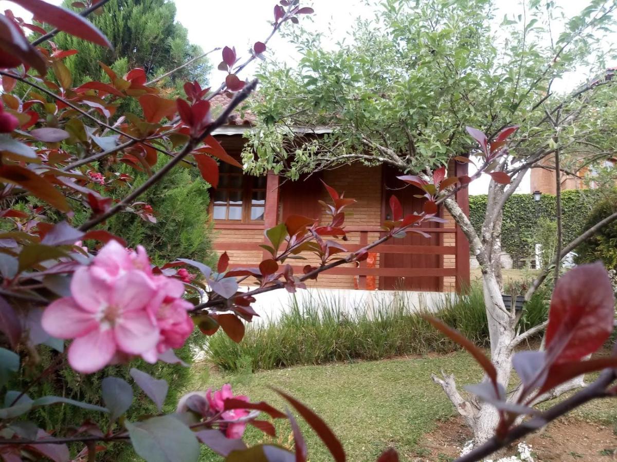 Chales Encantus Villa Monte Verde  Esterno foto